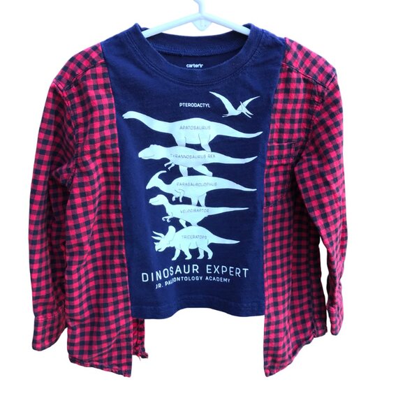 Upcycled Kid’s Flannel Tee: Dinosaur Graphic T-Shirt w/Flannel Sleeves, Size 2-4 - Picture 5 of 9